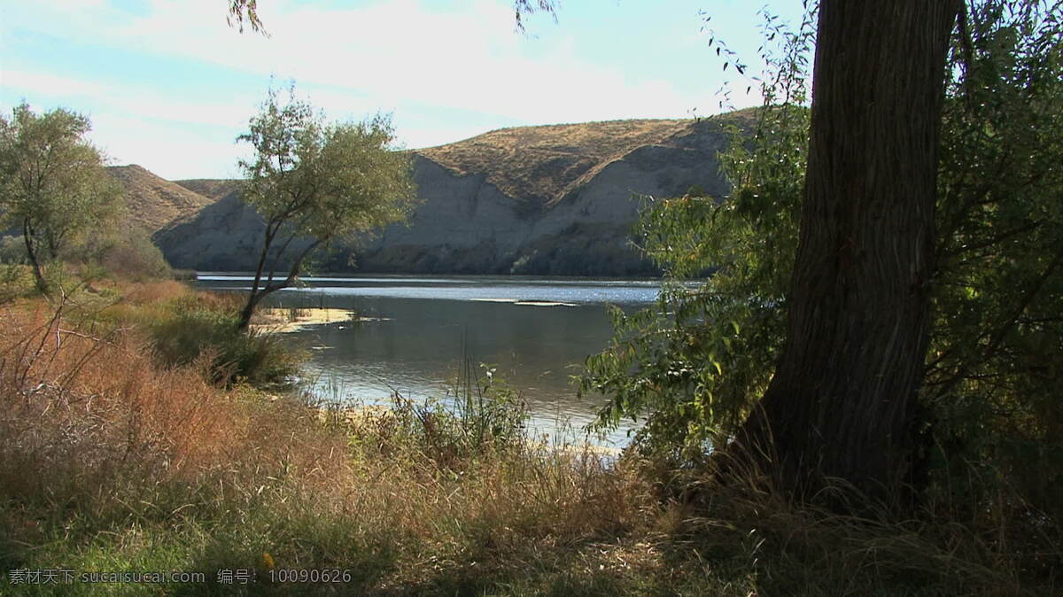 爱达荷州 蛇 河 背光 股票 视频 草 河岸 美国 山 树 刷 跳伞 蛇河 水 悬崖 其他视频