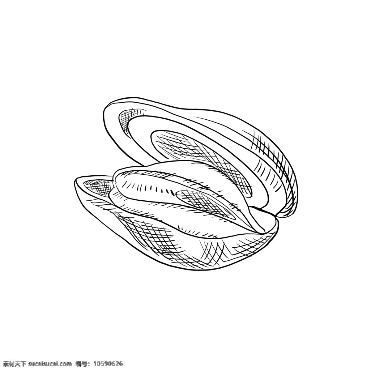 贝壳 类 手绘 简 笔画 壳类 蛤蜊 鹬蚌 海鲜 海洋 海鲜食物 海洋食品 线稿 黑白 卡通 装饰 配图 简笔画