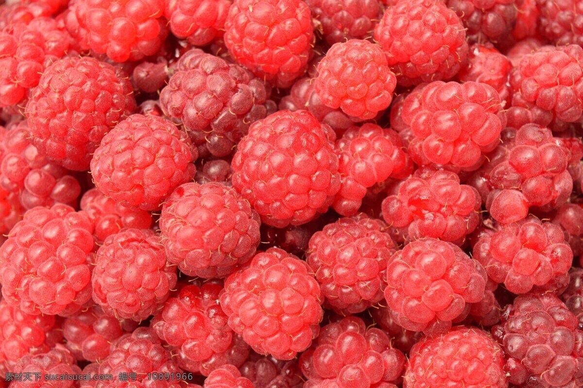 山莓 背景 水果 红色 甜 美味 健康 弗里施