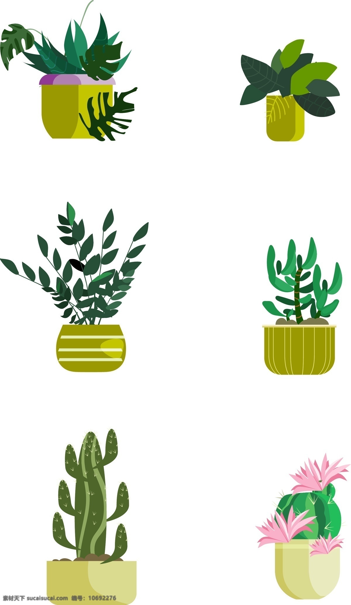 花卉 植物 装饰 元素 草 仙人球 卡通 简约
