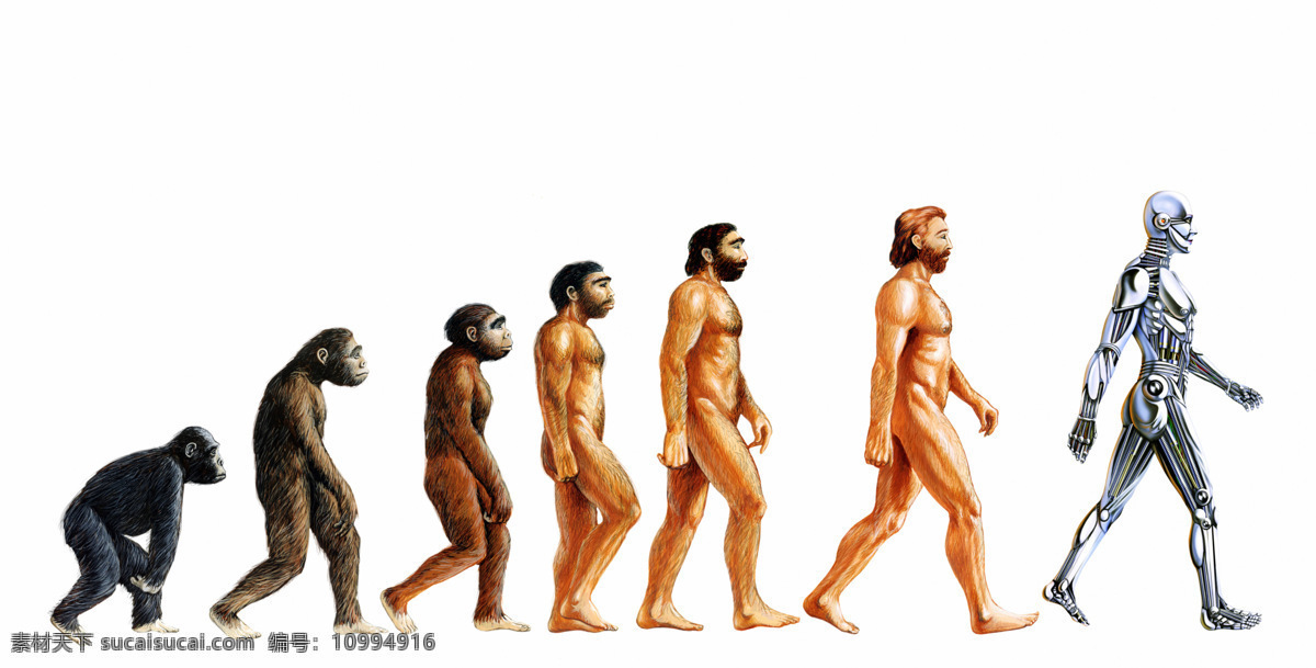 人类进化 人物 人 猿人 骨头 进化 动漫人物 动漫动画