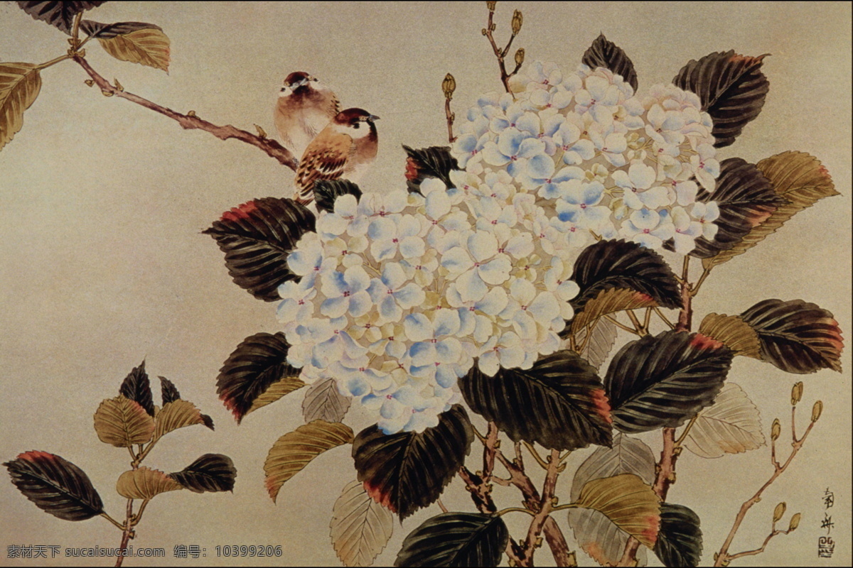 花鸟画 中国 古画 中国古画 设计素材 花鸟名画 古典藏画 书画美术 灰色