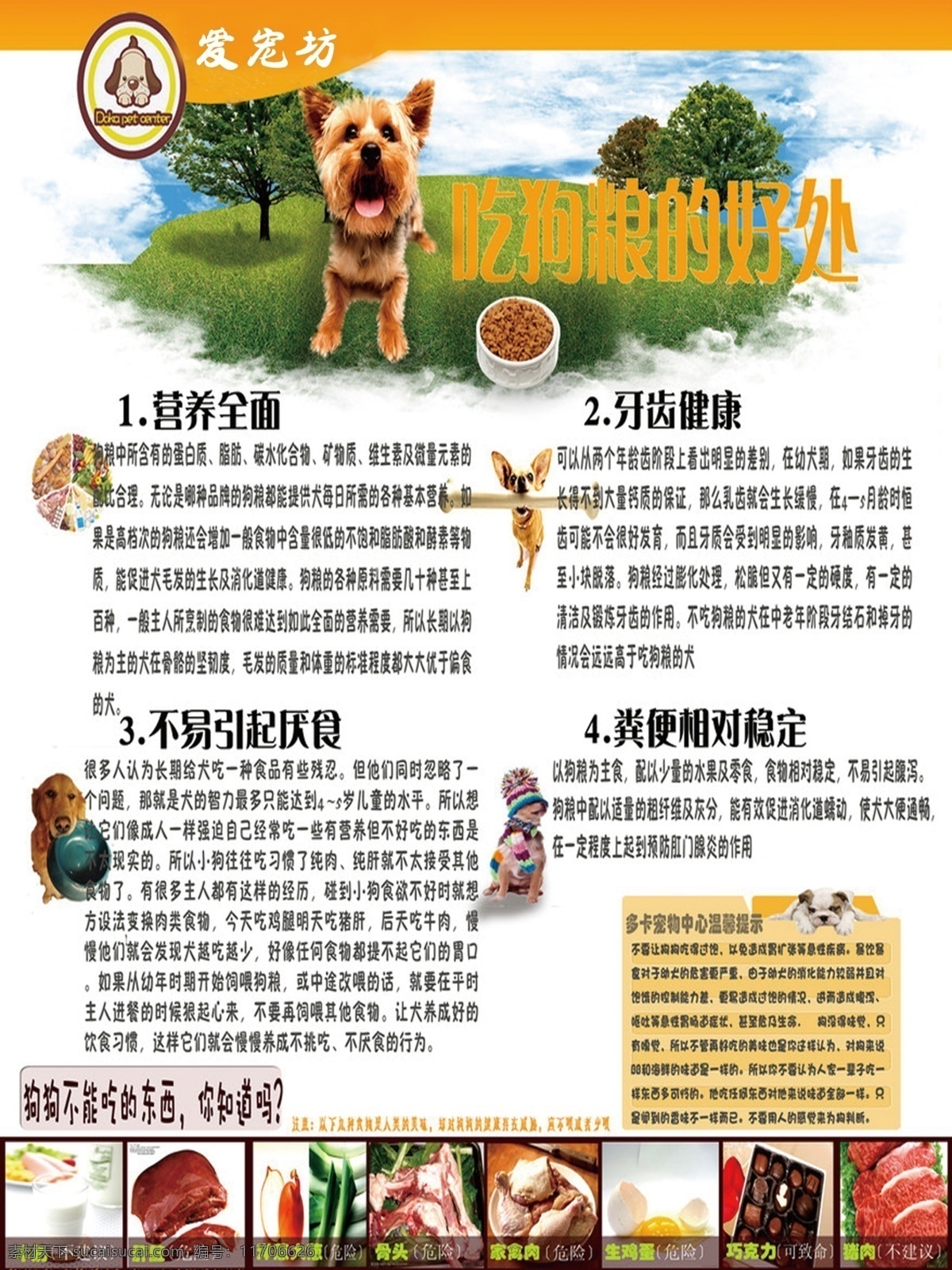 宠物店展板 宠物店 宣传 展板 展架 宠物店海报 psd源文件 白色