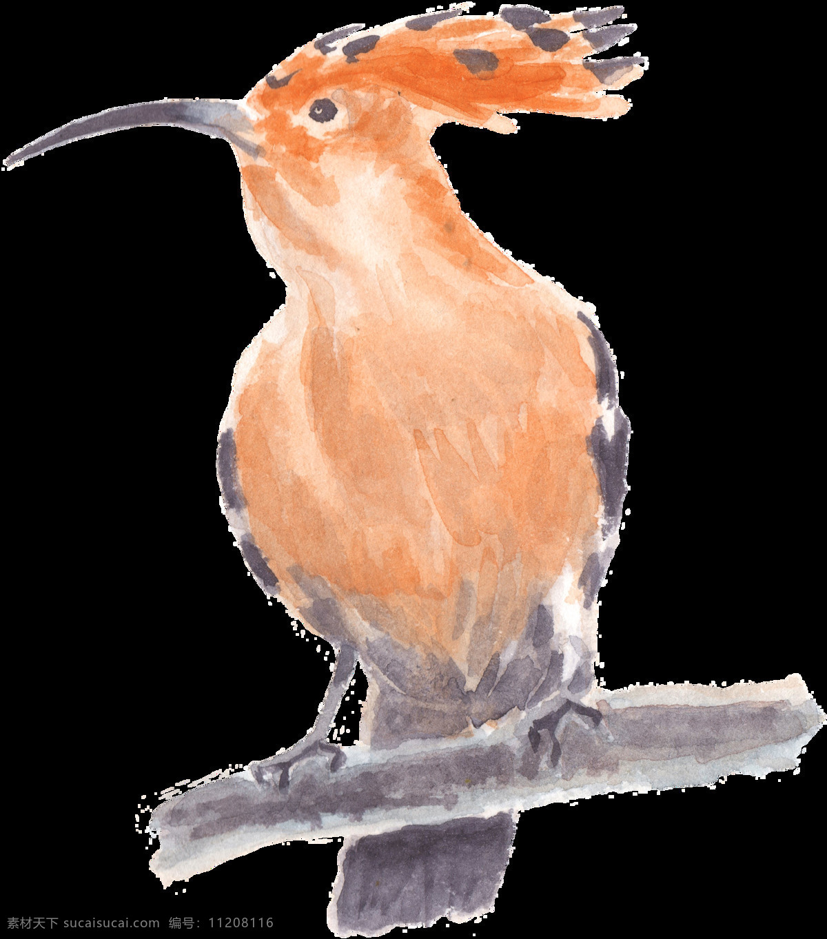 站 树干 上 尖 嘴 鸟 水彩 透明 橙色 动物透明素材 灰色 免扣素材 鸟类 装饰图片