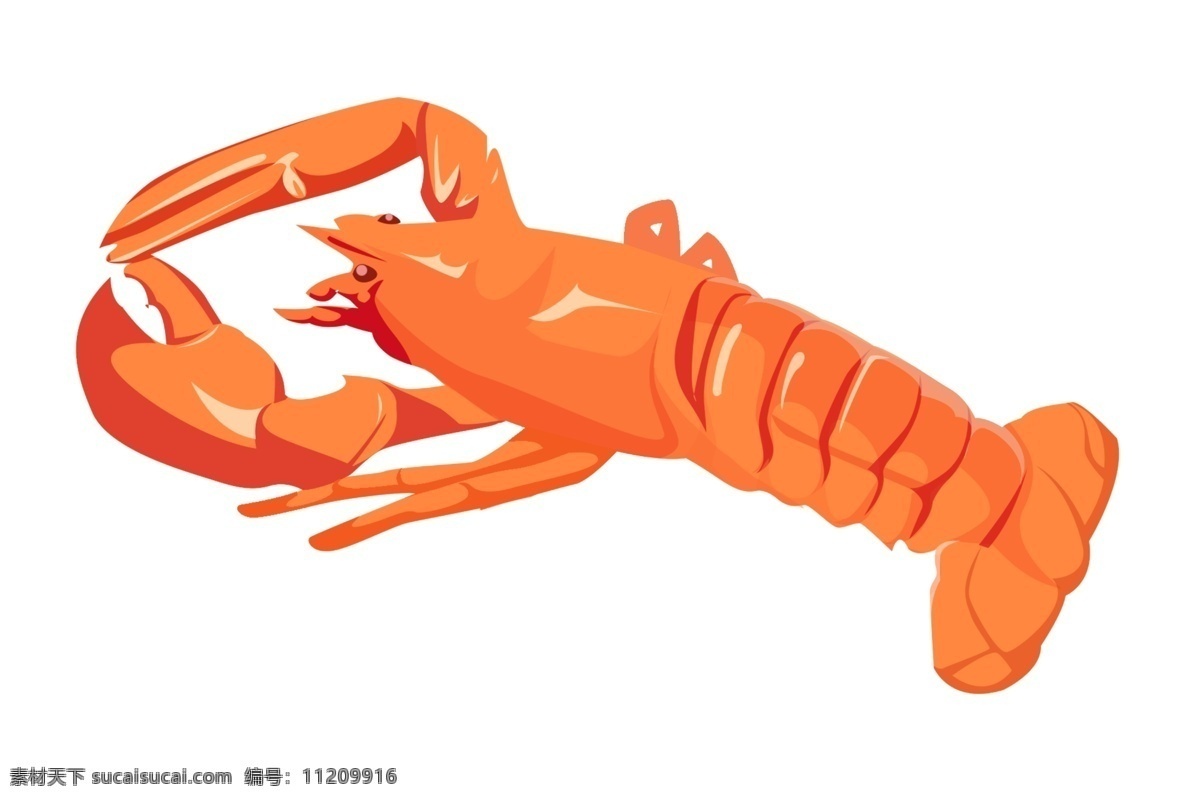 橙色 小 龙虾 插画 橙色的龙虾 卡通插画 动物插画 龙虾插画 深海龙虾 淡水龙虾 橙色的蟹钳