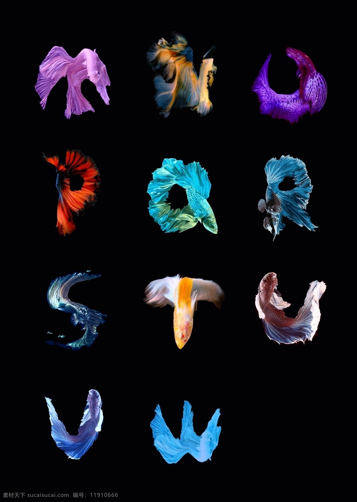 字母孔雀鱼 鱼 字母 字体 孔雀鱼 变形