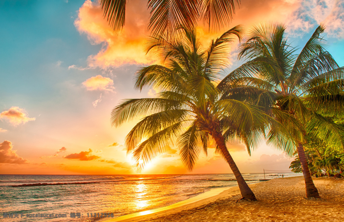 海边夕阳 海浪 沙滩 海滩 海水 浪潮 潮起潮落 大海 海洋 海边 椰子树 云 黄昏 金色沙滩 沙滩摄影 风景 旅游摄影 自然风景