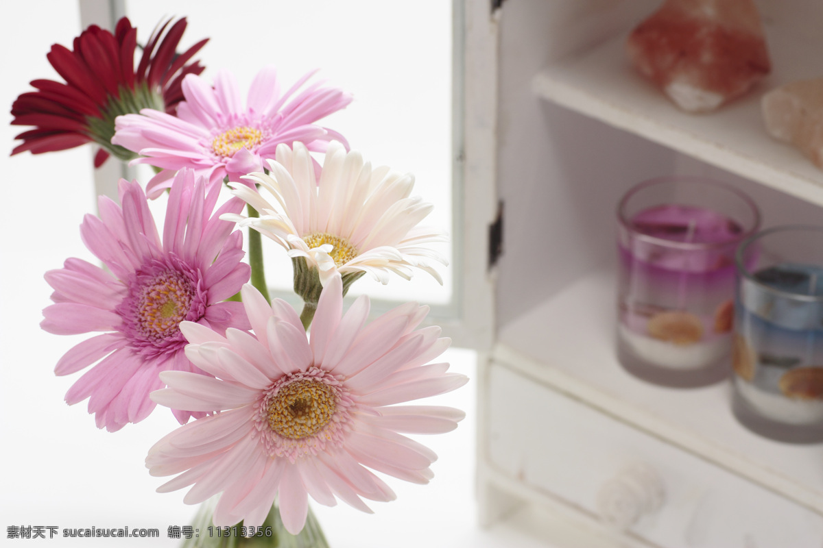 鲜花 柜子 粉色花朵 图片图库 高清图片 花朵 花 自然摄影 玻璃瓶 杯子 玻璃杯 红色花朵 菊花 花草树木 生物世界