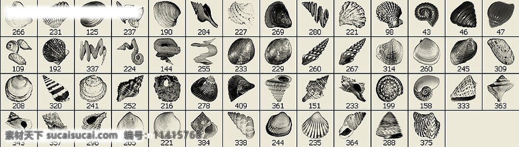 漂亮 贝壳 笔刷 ps笔刷 其他笔刷 源文件库 abr