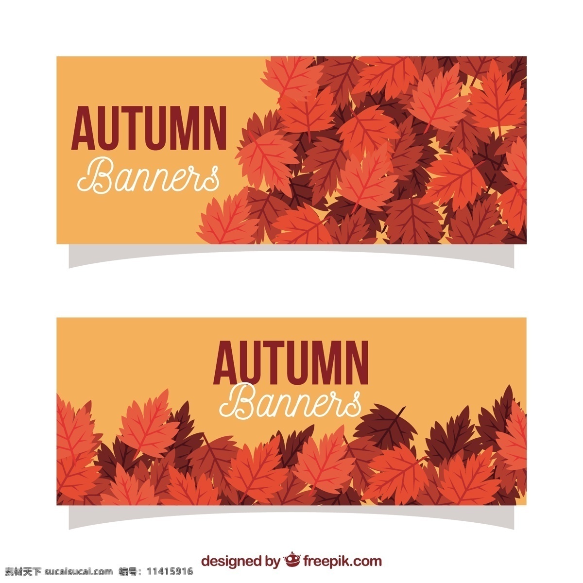 秋天 旗帜 树叶 自然 横幅 颜色 温暖 树枝 秋天的树叶 季节 季节性的 落叶的 温暖的颜色