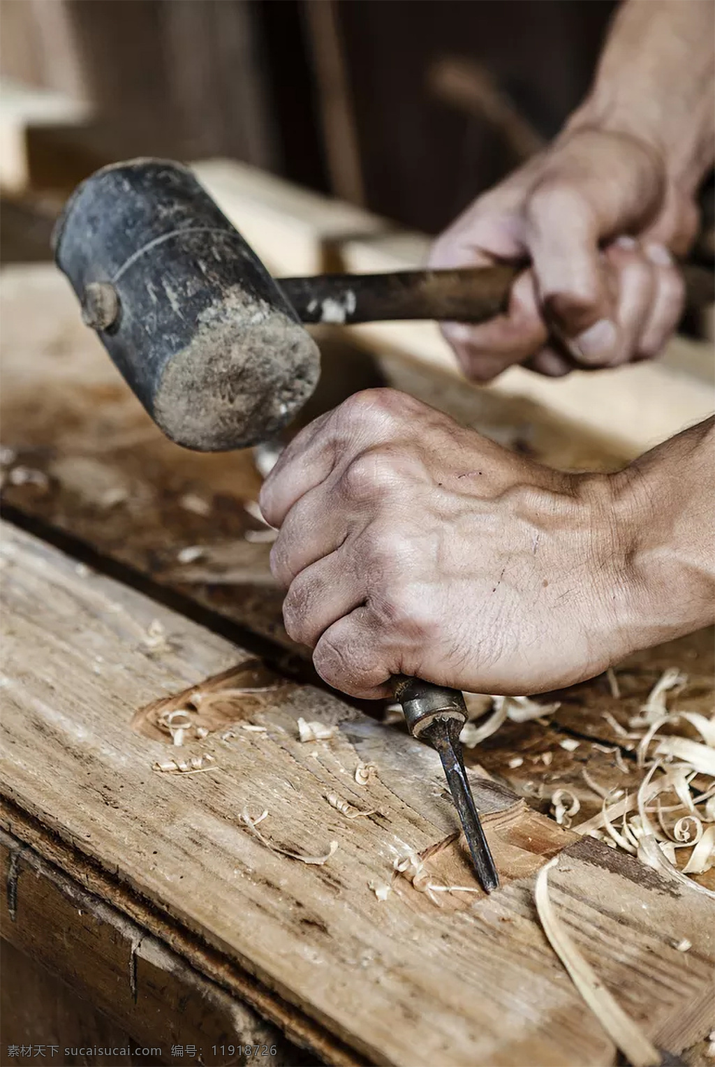木匠图片 木头 wood 木材 工匠 木匠 橡木 橡胶木 年轮 树棍 树材 雕刻木材 人物图库 职业人物