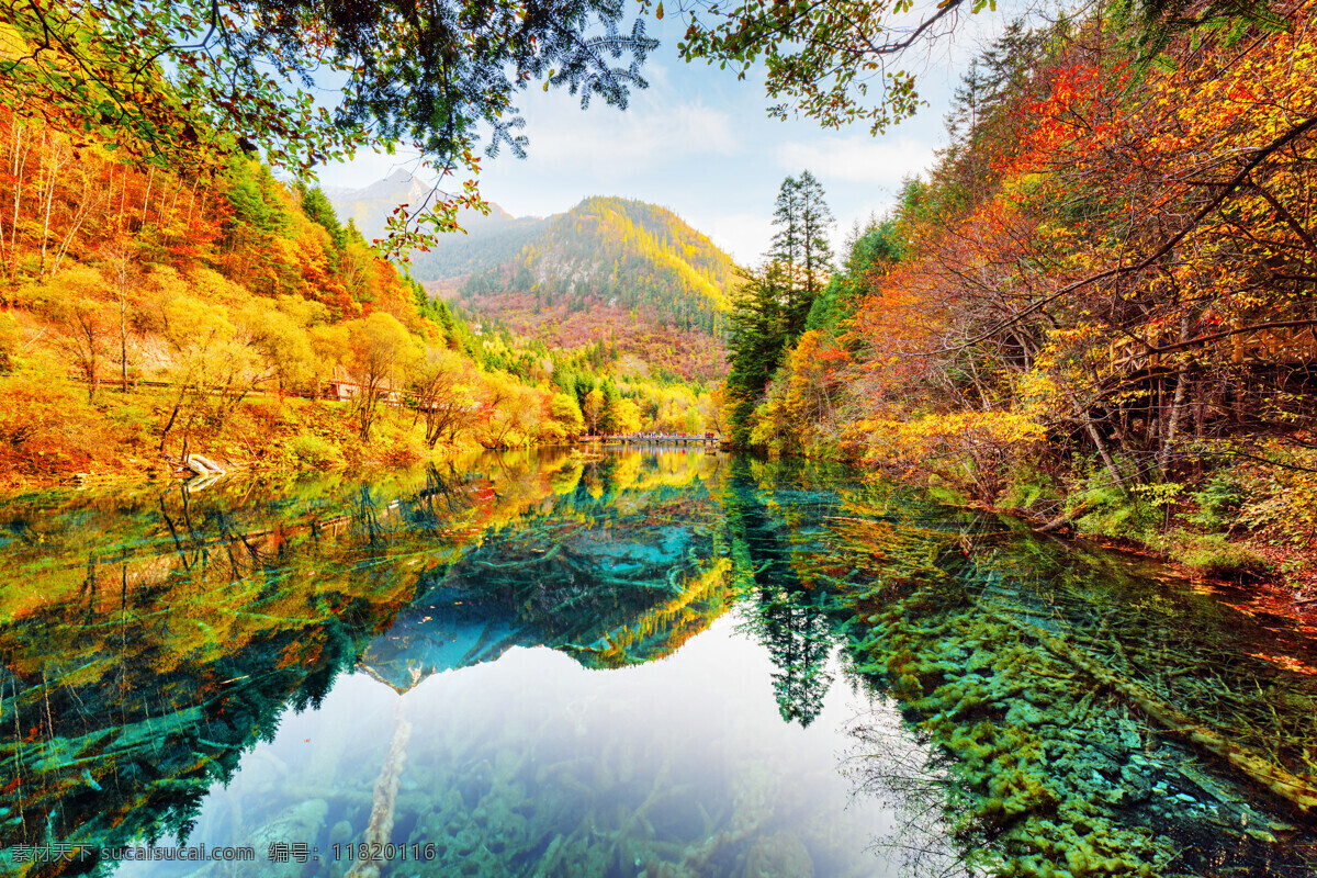 秋天的美景 风景 秋天 美景 湖泊 白色