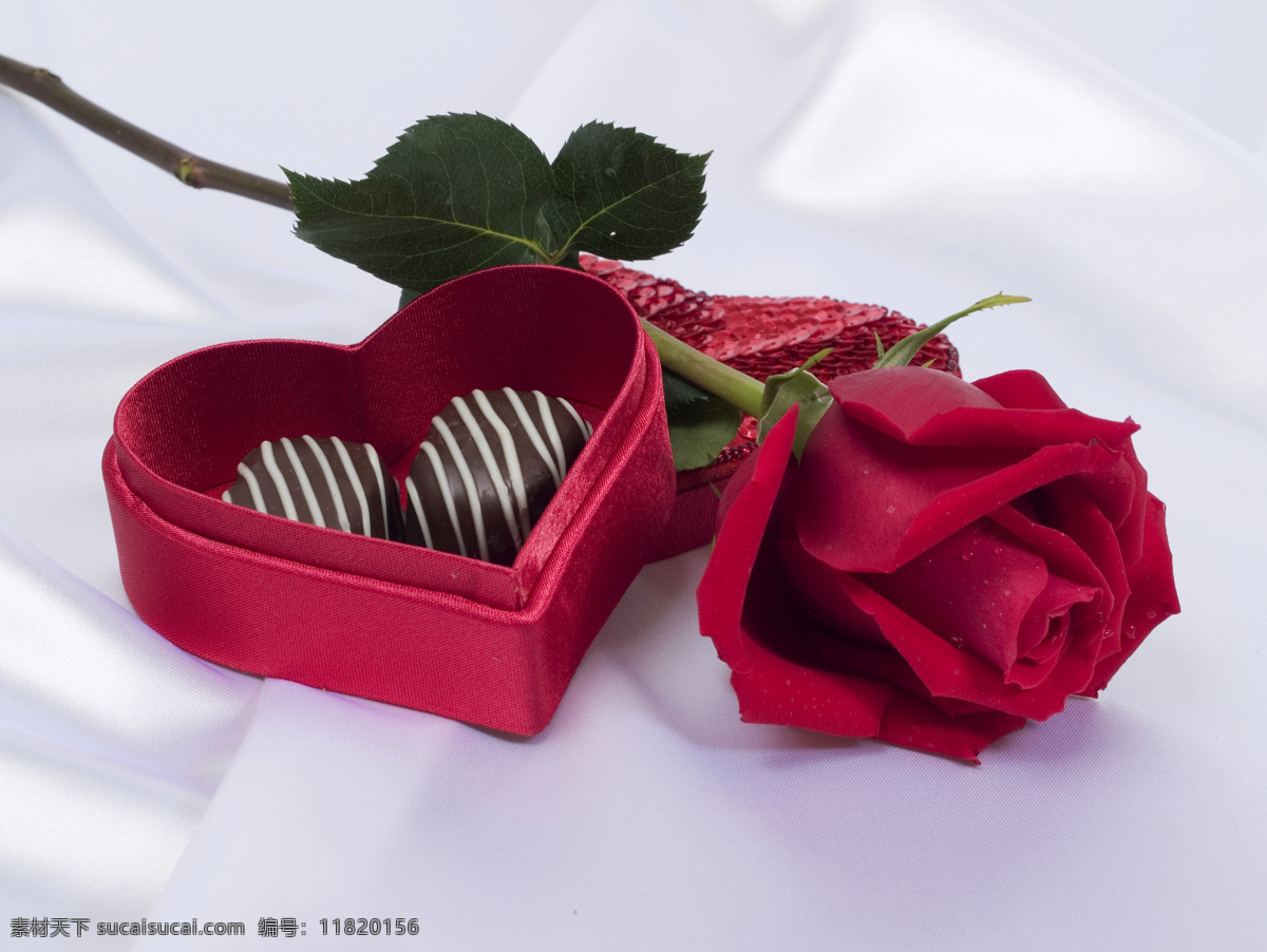 礼盒 玫瑰花 礼物 盒子 情人节素材 节日素材 花朵 鲜花 浪漫 温馨 节日庆典 生活百科