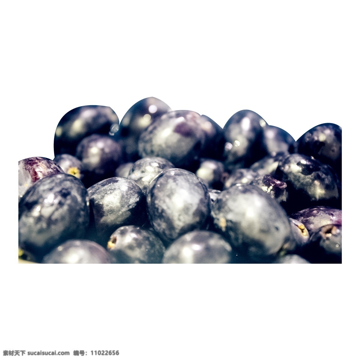 许多 新鲜 蓝莓 水果 新鲜水果 蓝色 营养 维生素 许多蓝莓 美味 甜食 甘甜 多汁 植物