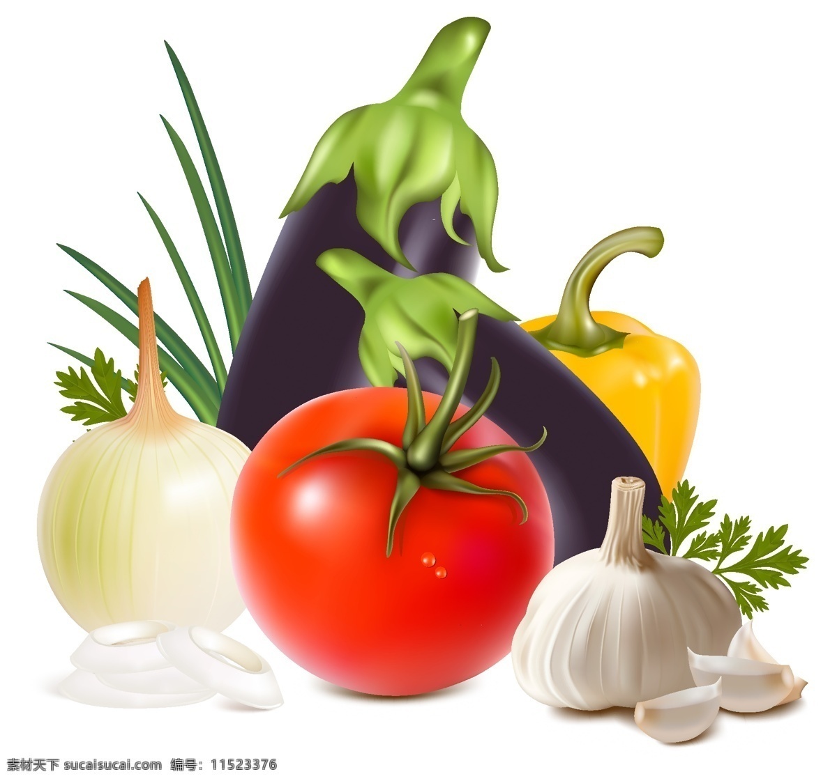 新鲜 蔬菜 矢量图 西红柿 茄子 大蒜 白色