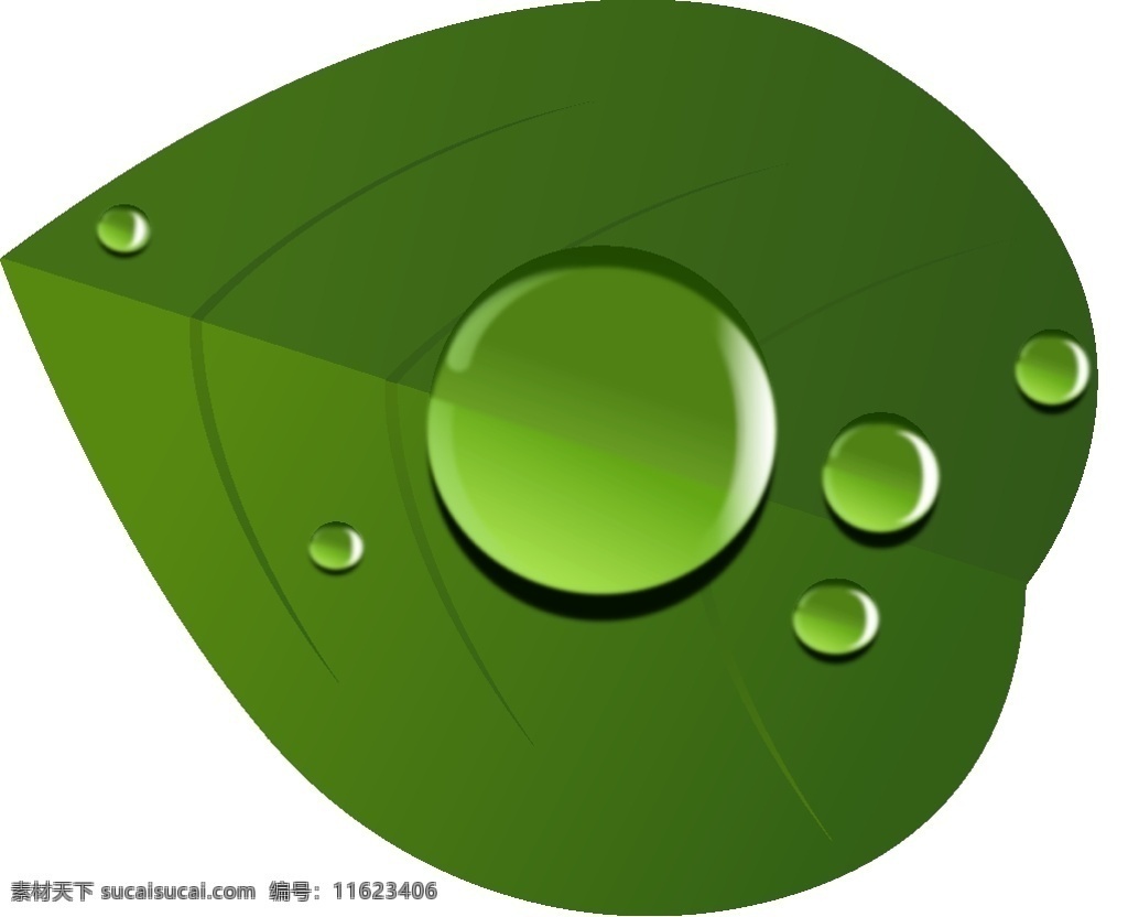 白露 清爽 绿叶 露珠 矢量 元素 露水 水滴 二十四节气 粘露珠的绿植