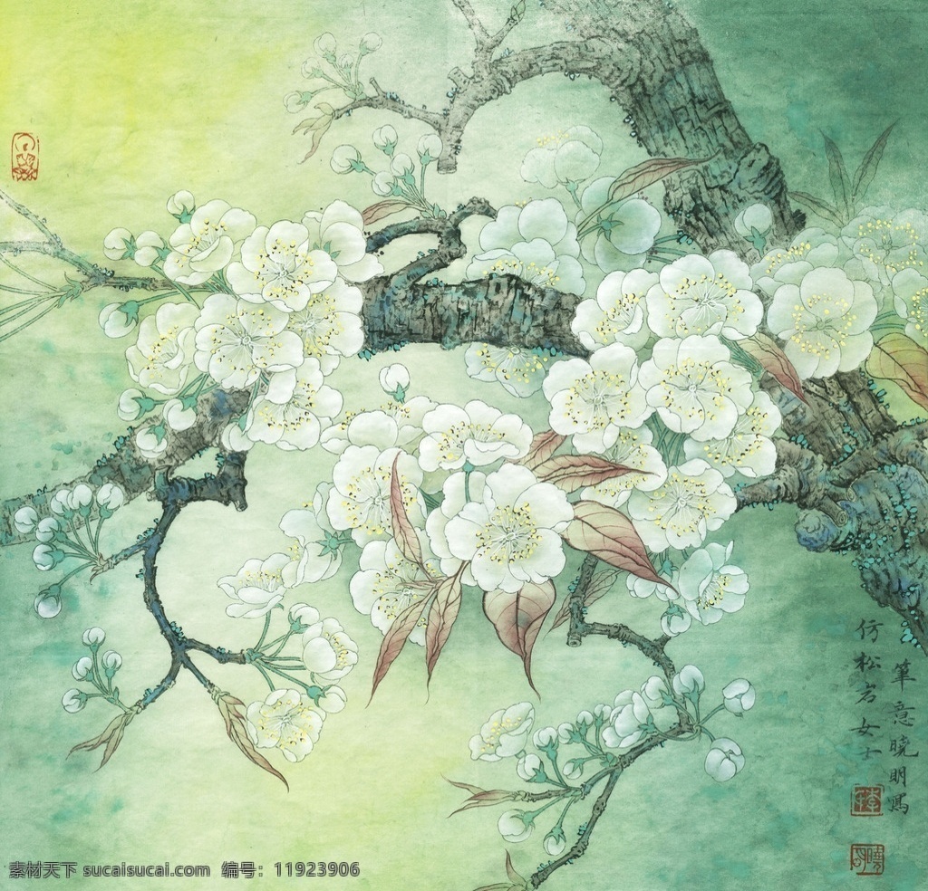 梨花小品 国画 工笔画 水墨画 梨树 梨花 绘画书法 文化艺术 李晓明 工笔 花鸟 高清 图