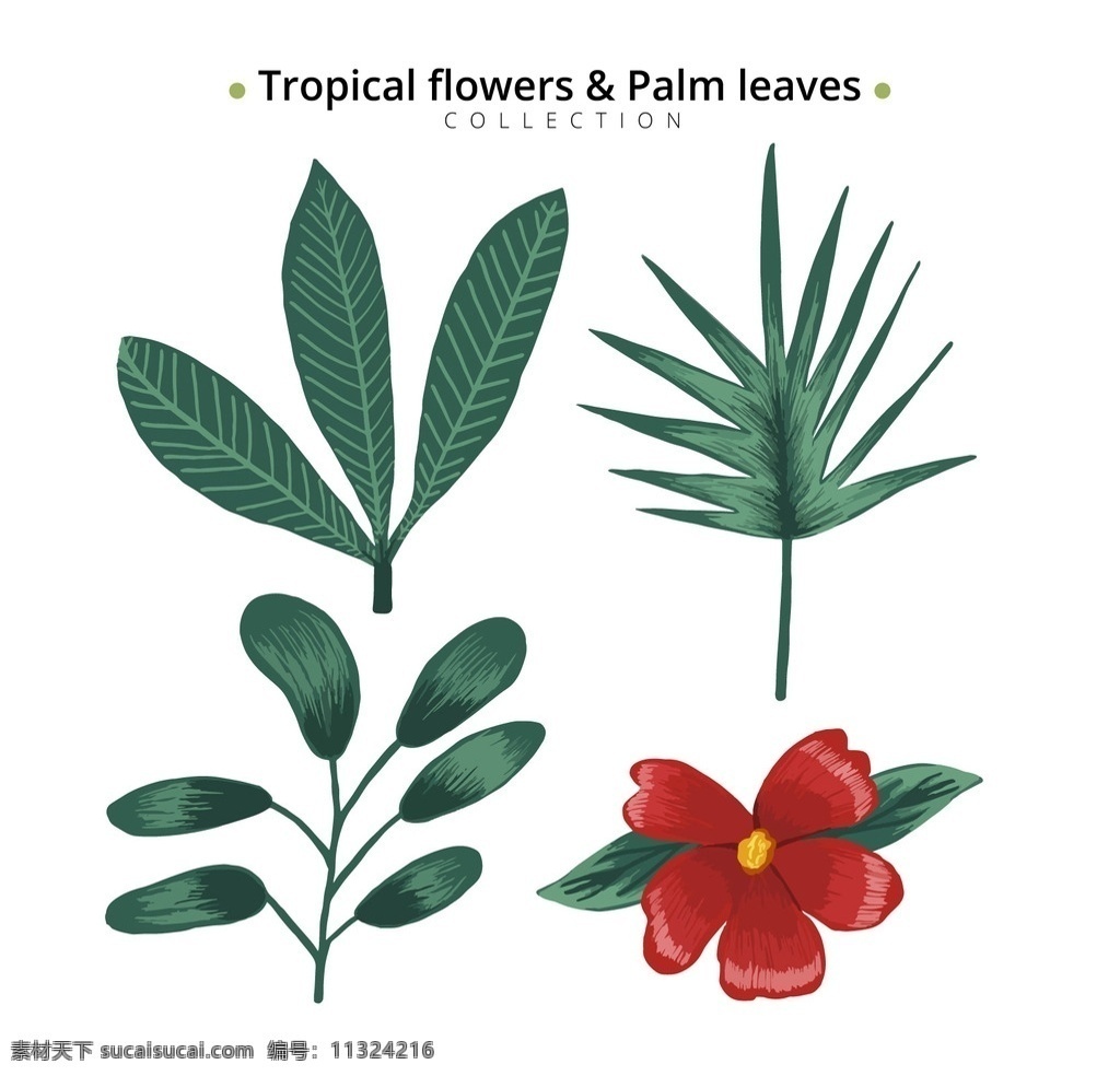 手工 绘制 热带 花卉 棕榈树 花 树 鲜花 手 自然 春天 手绘 叶 植物 棕榈 绘画 樱花 美丽 抽纱 野
