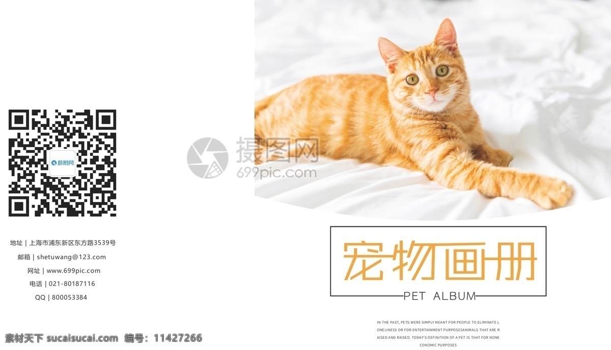 时尚 简约 宠物 画册 封面 现代 画册封面 猫 黑色 白色 凝视 宠物画册