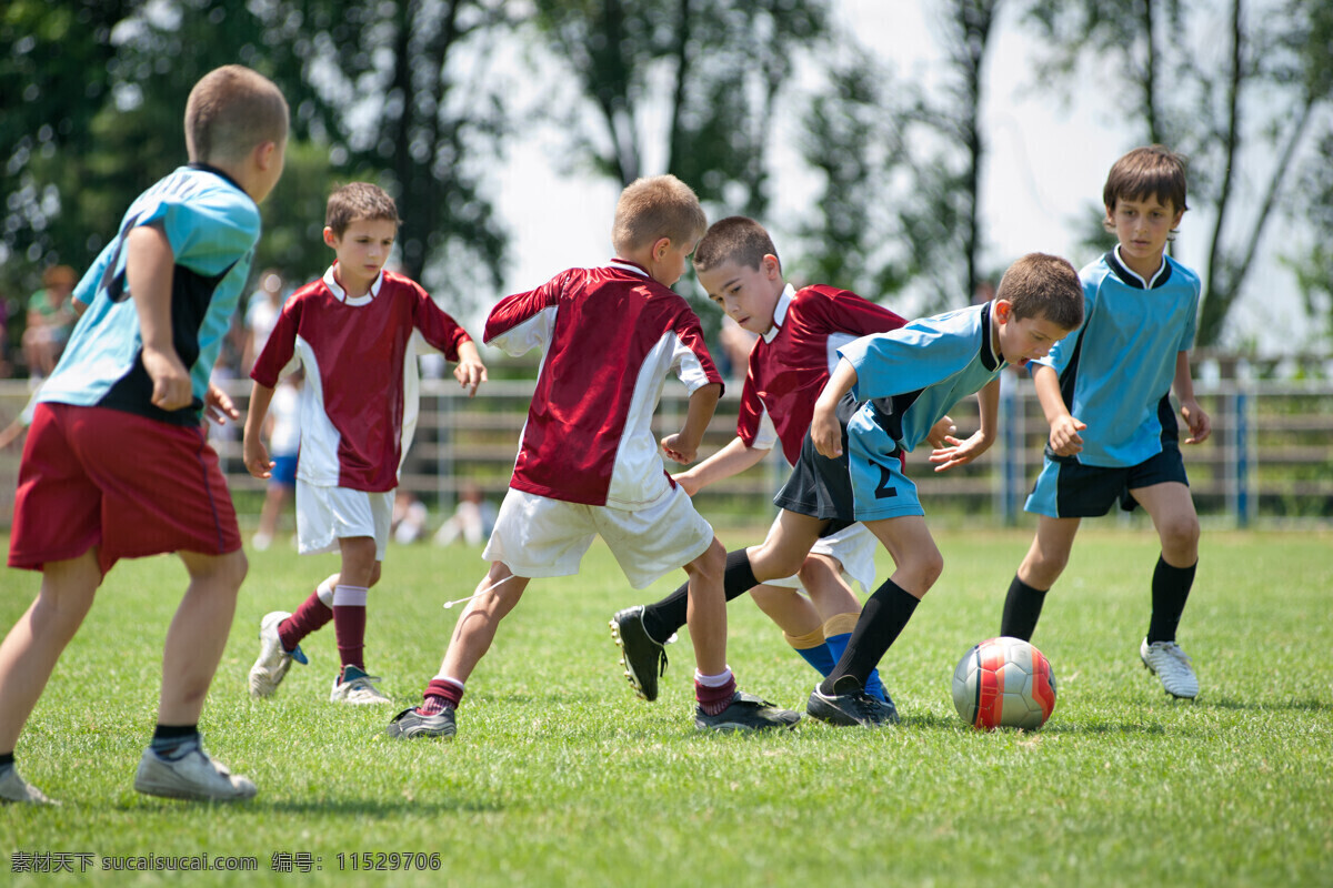 外国 小孩 踢 足球图片 踢足球 足球 球员 儿童 小学生