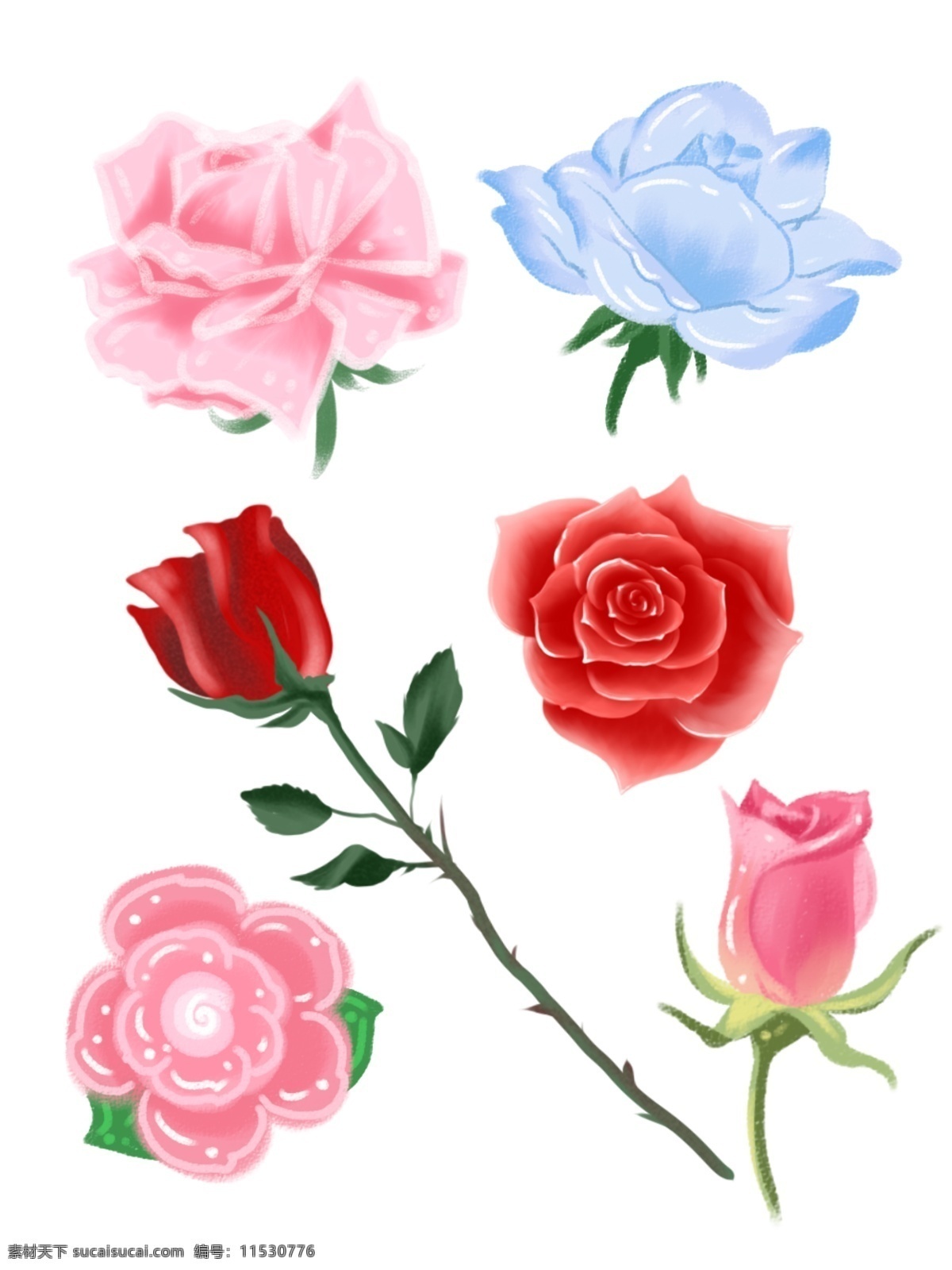 手绘 各种 颜色 风格 玫瑰花 蓝色 红色 情人节 花卉 粉色 橙色 可爱 写实
