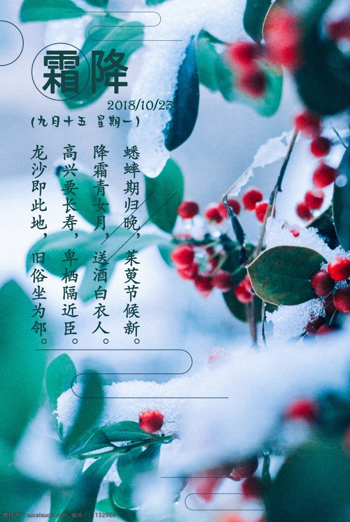 植物 背景 简约 霜降 节日 海报 二十四节气 传统节气 植物背景 节日海报