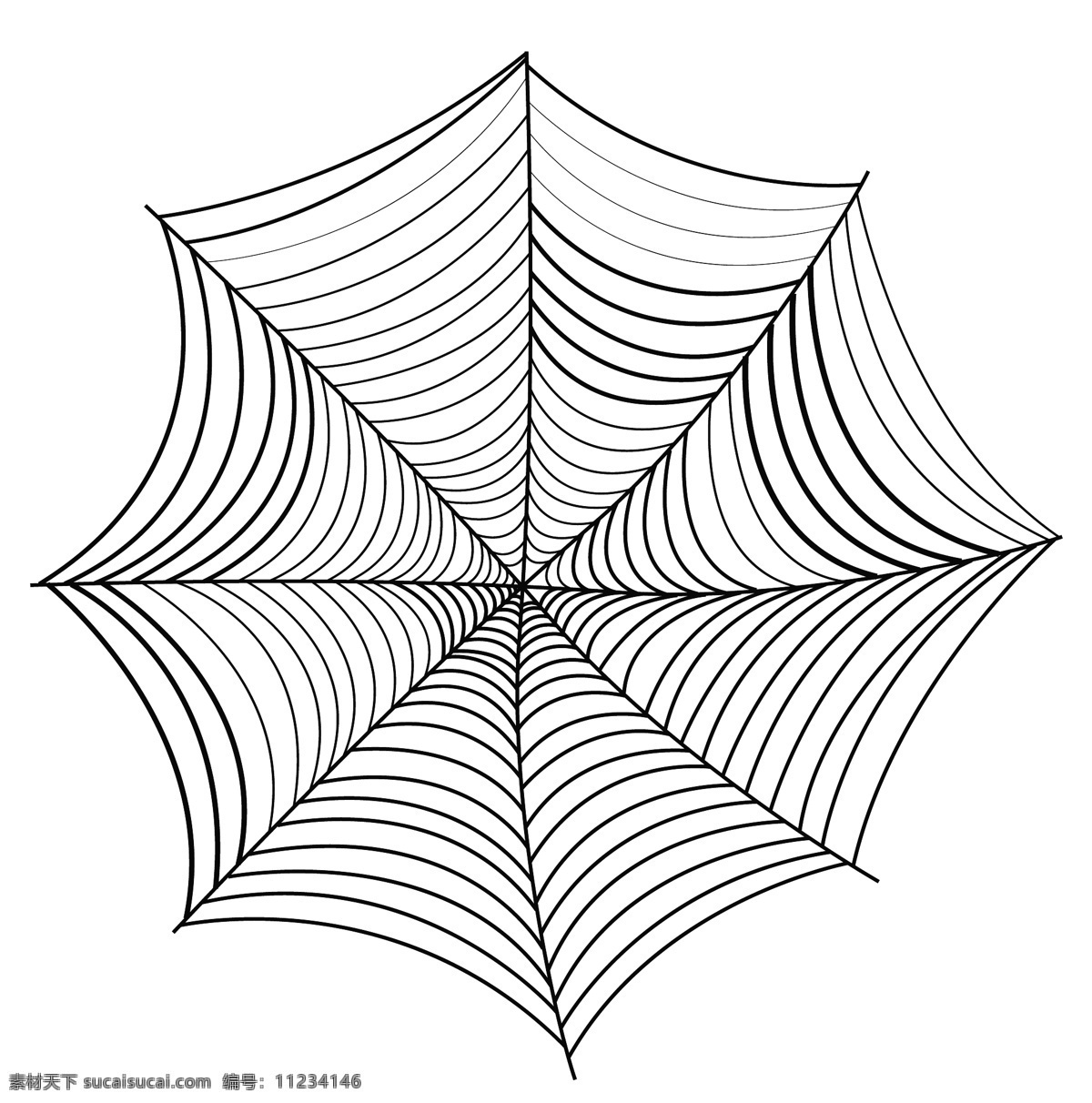 可怕的蜘蛛网 白色