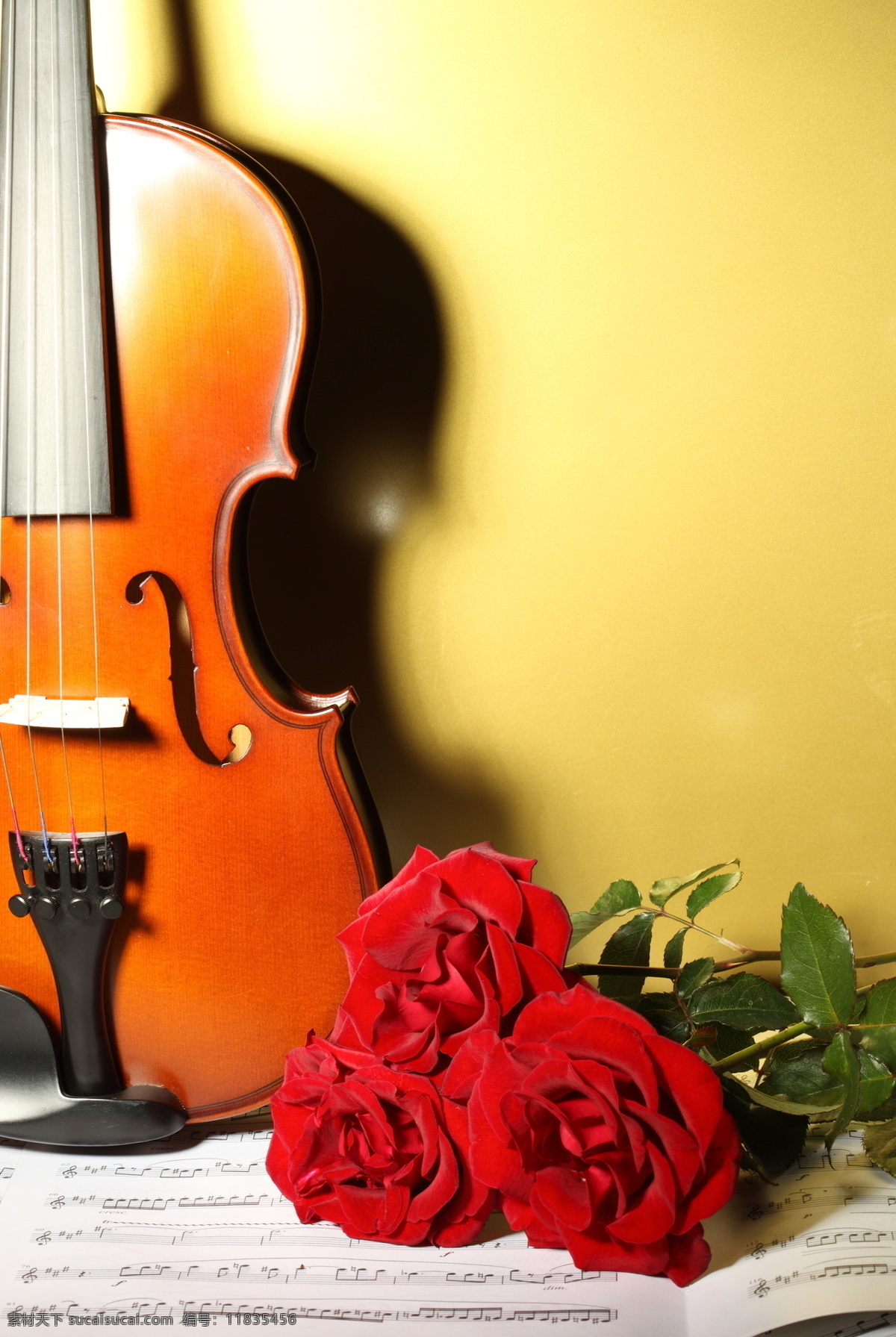 小提琴与音符 小提琴 乐谱 音符 中提琴 玫瑰 玫瑰花 鲜花 文化艺术 音乐 影音娱乐 生活百科 黄色