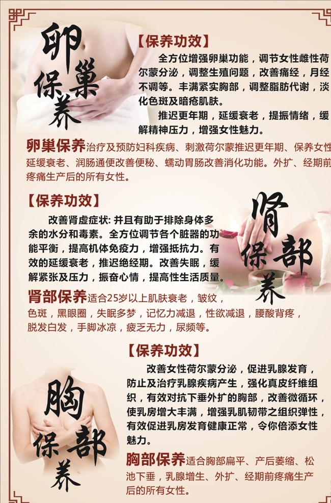 美容养生海报 胸部保养 卵巢保养 肾部保养 保养功效 中国风 养生保养