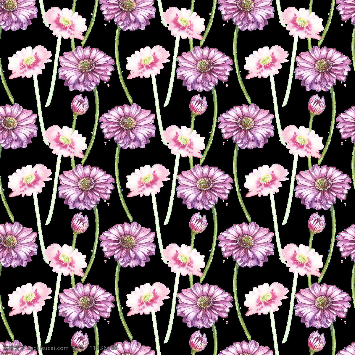 粉色 可爱 小雏 菊 透明 透明素材 装饰素材 植物 可爱风