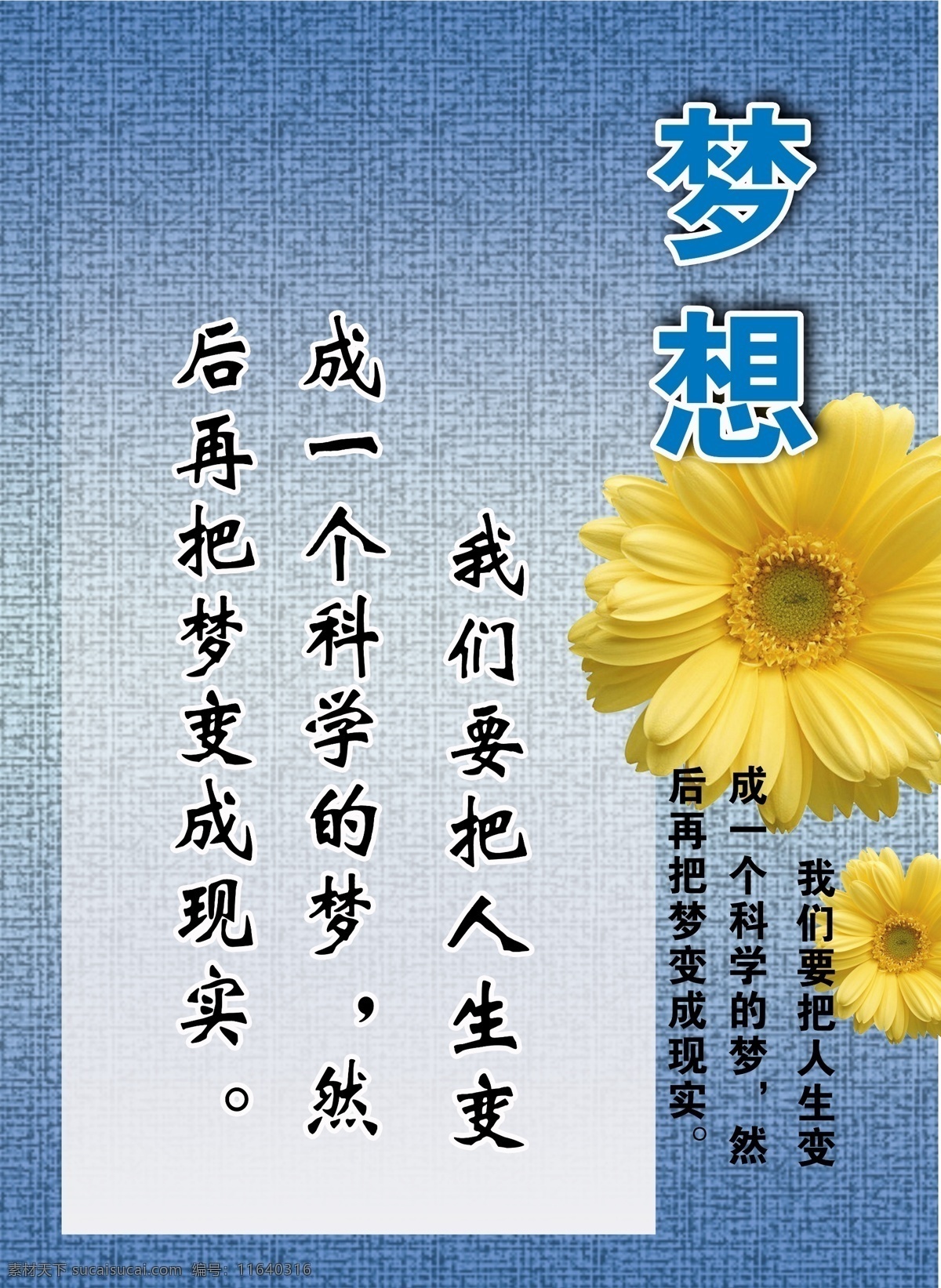 梦想 菊花 蓝色背景 学生 青色 天蓝色