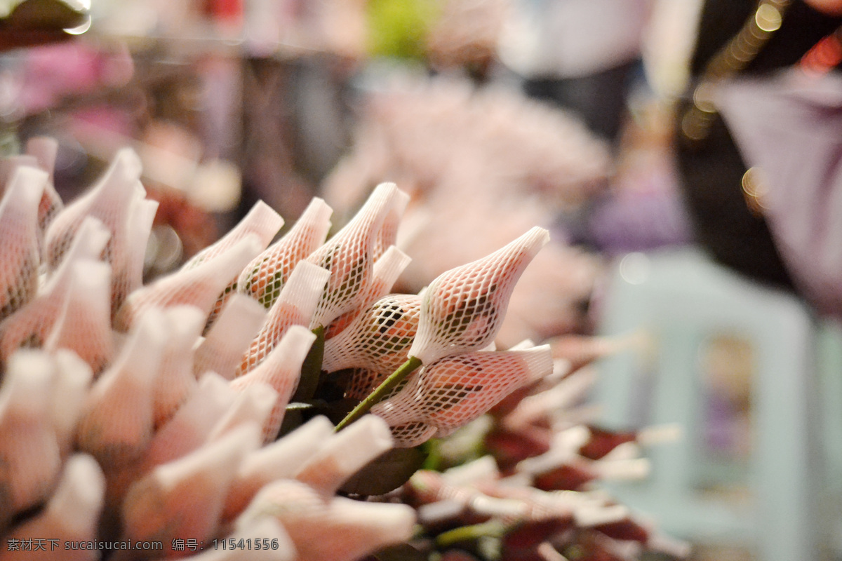 粉色玫瑰花 高清壁纸 花苞 花草 花店 花朵 花束 浪漫 玫瑰花 情人节 艳丽 叶子 娇艳 梦幻 植物 灯光宁静 花草拍摄 生物世界 节日素材 情人节七夕