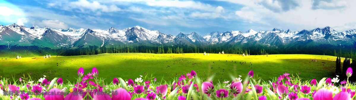 雪山美景 雪山 蓝天 鲜花 自然风光 美景 自然景观 自然风景