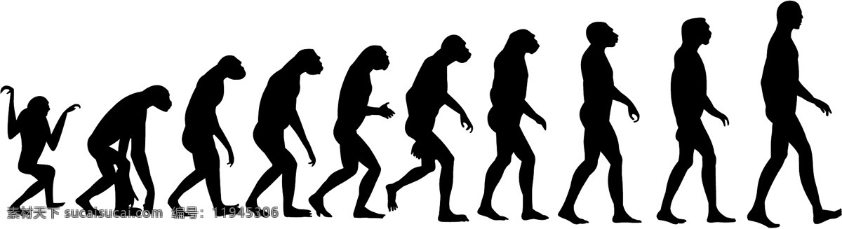 人类 进化 过程 矢量 剪影 人物 行走 猿人 矢量图 矢量人物