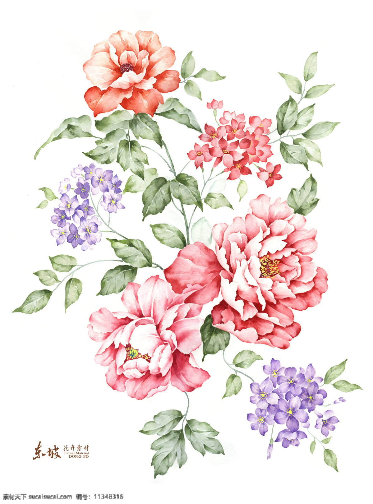 手绘花卉 花卉 手绘 花 叶子 红色 紫色 绘画书法 文化艺术