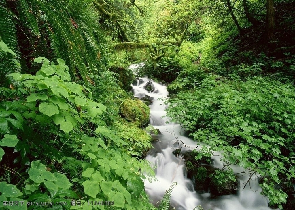 山水风景 山景 风景 森林 河流 湍流 绿意 自然 梦幻 虚幻 自然景观