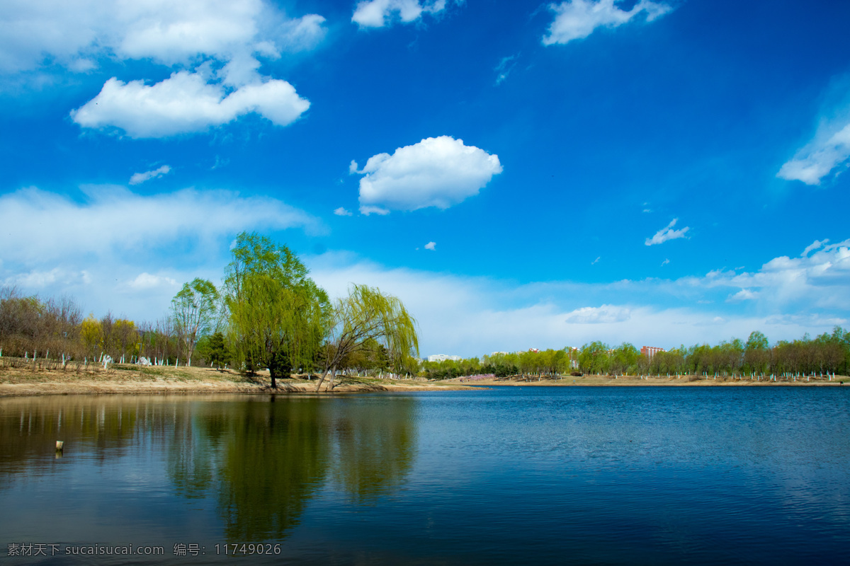 公园 小湖 风光 风景 湖畔 湖水 树木 蓝天 白云 春天