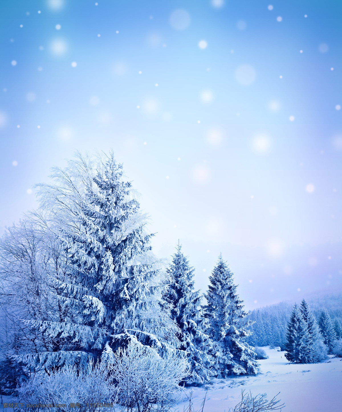 美丽 冬天 雪景 圣诞节素材 新年素材 圣诞节背景 新年背景 雪花背景 美丽雪景 雪地 雪景图片 风景图片