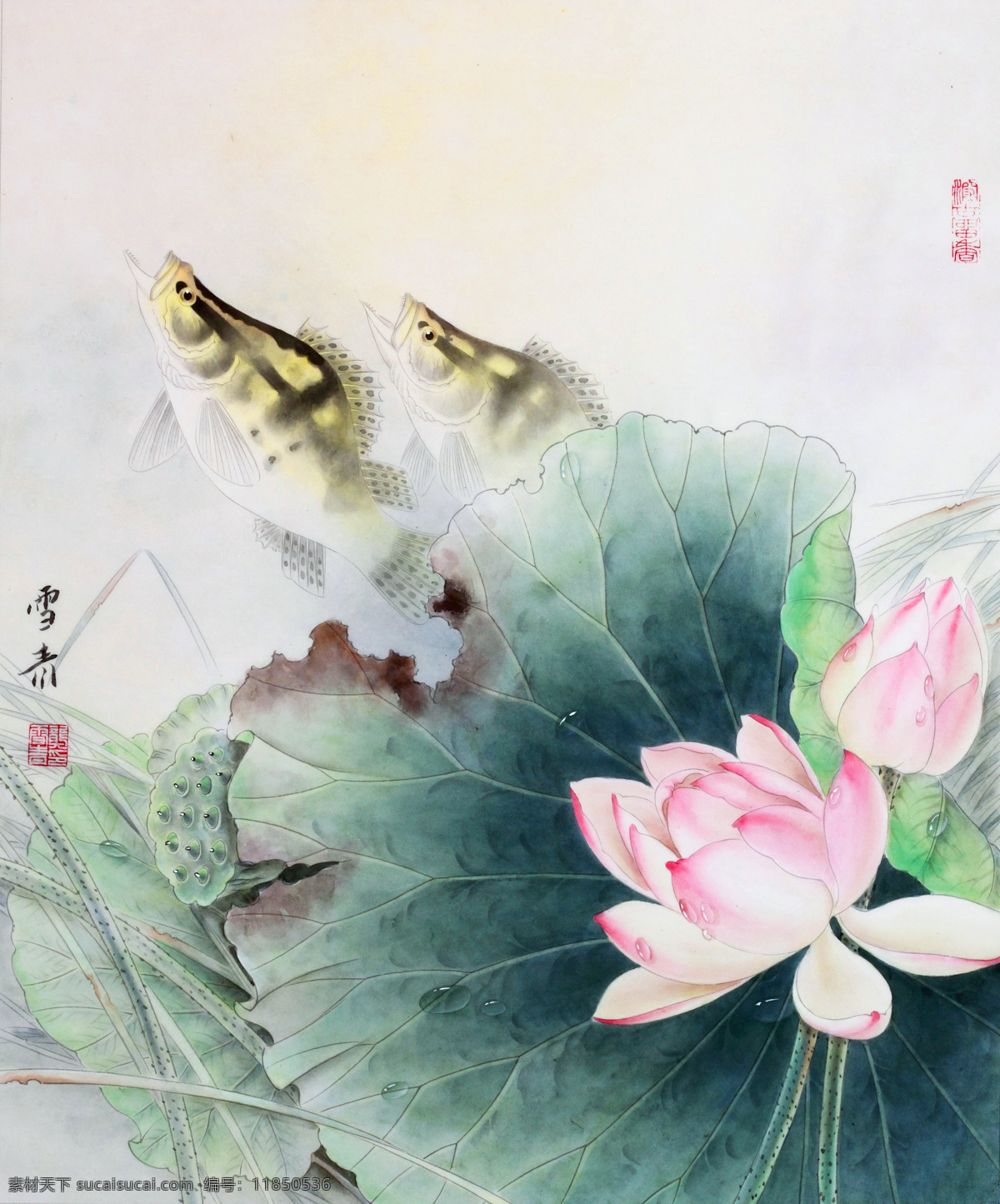 龚 雪青 工笔 花鸟 高清 图 工笔画 字画 国画 走廊挂画 客厅挂画 花鸟画 工笔花鸟 工笔国画 工笔荷花 工笔画欣赏 工笔画素材 文化艺术 绘画书法 白色