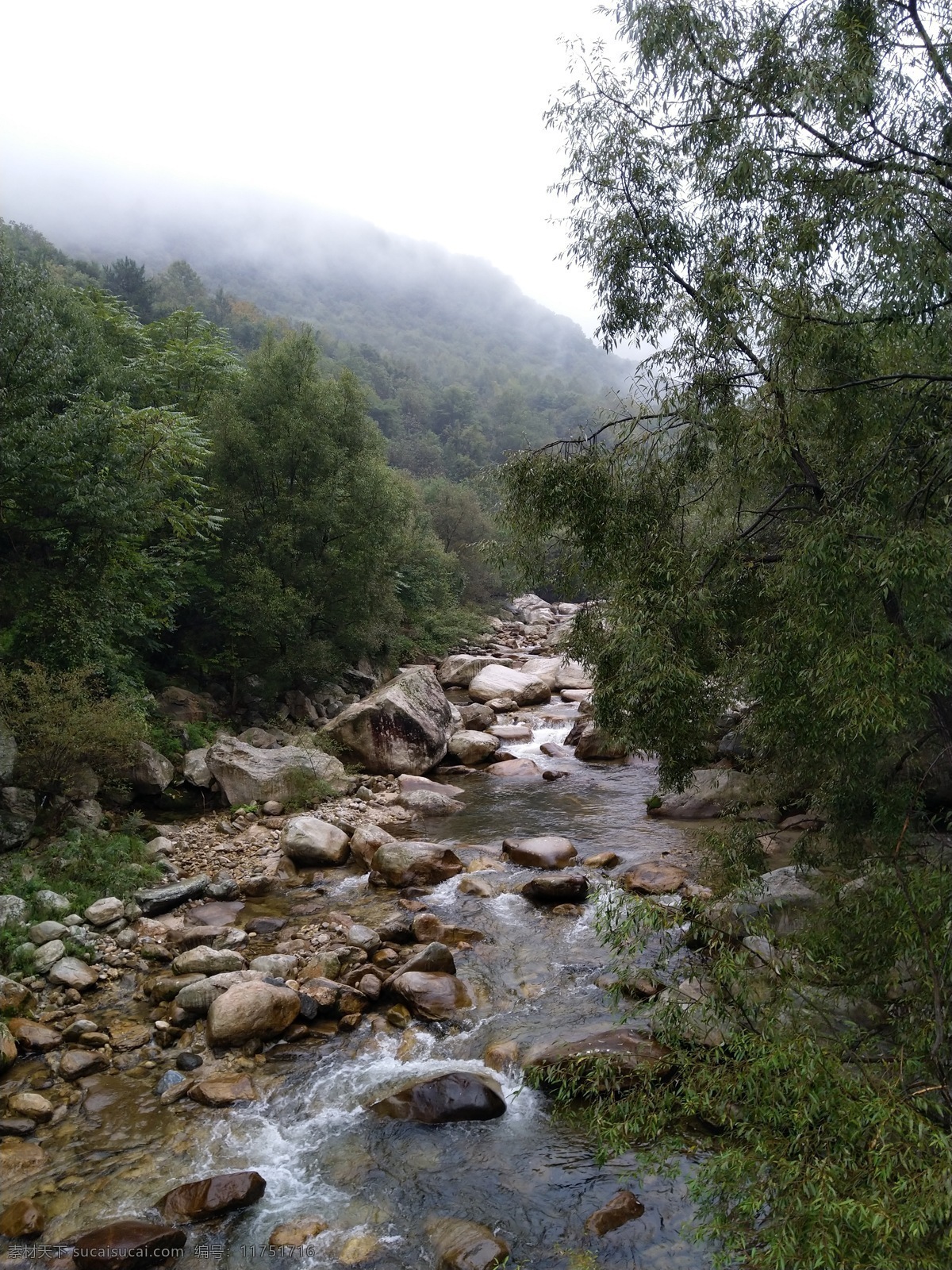 山涧溪流 山涧 溪流 碎石 树木 高山 云雾 多娇江山 自然景观 自然风景