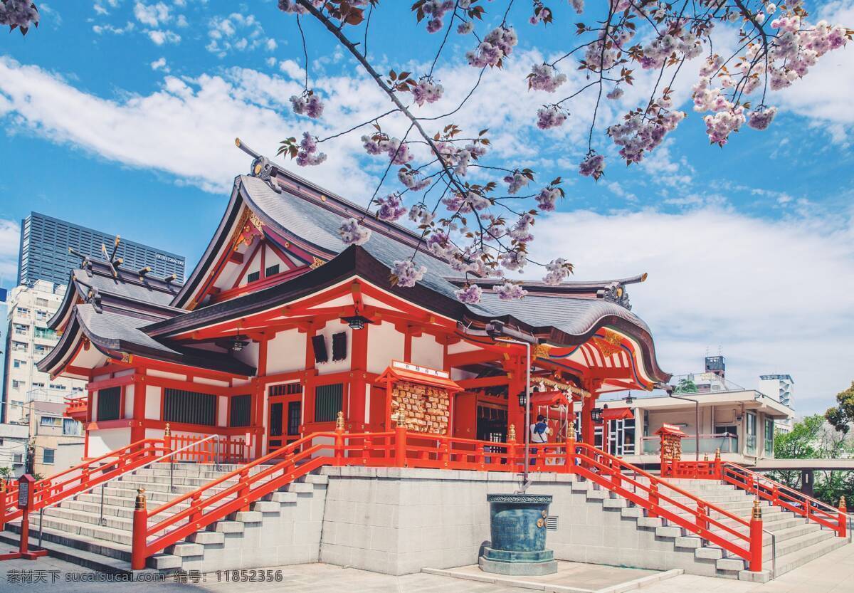 日本 富士山 寺庙 日本富士山 富士山全貌 日本风情 樱花 雪山 山 山峰 山峦 山脉 湖面 湖 国外美丽风光 旅游摄影 国外旅游
