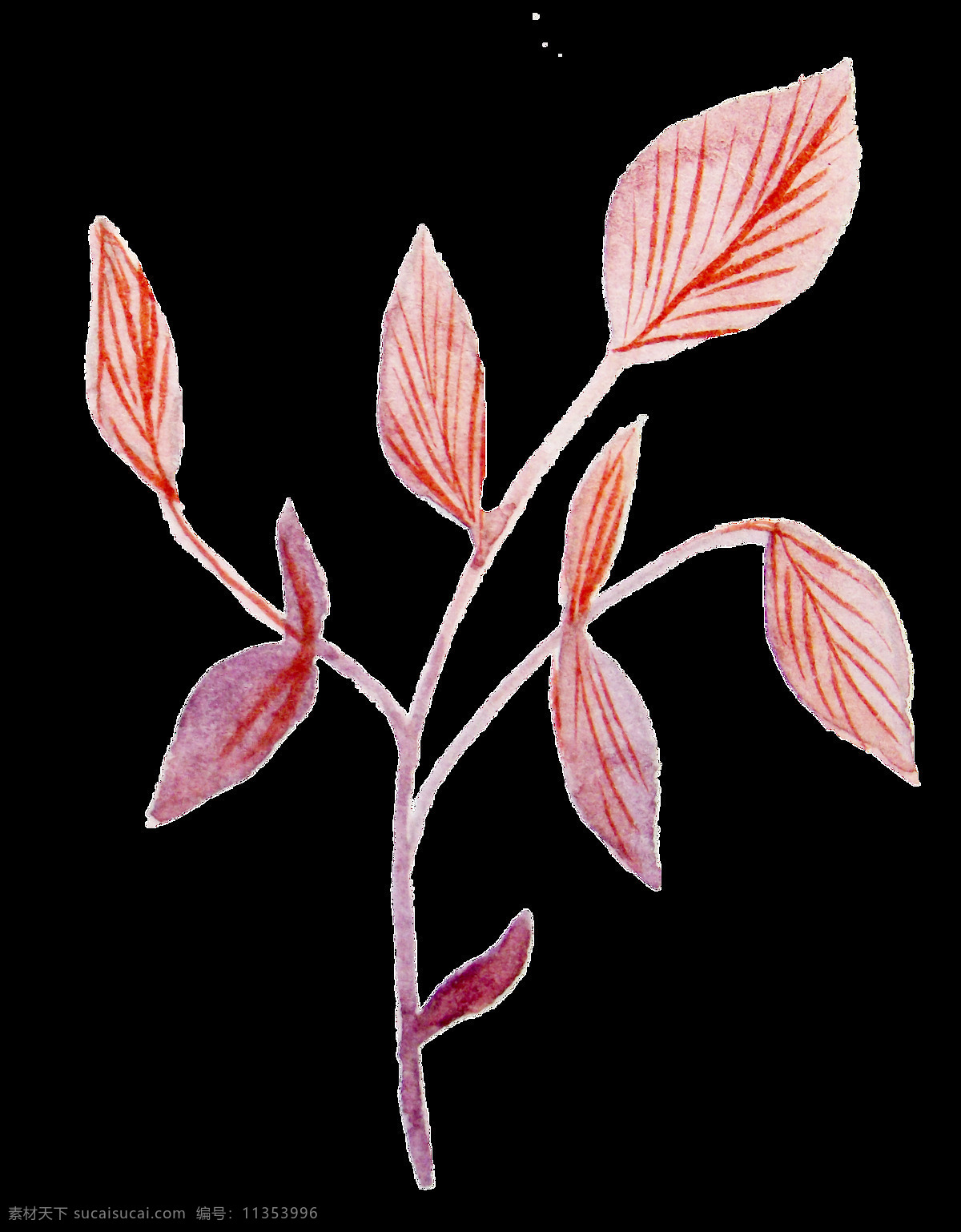 红色 树叶 卡通 透明 装饰 抠图专用 设计素材