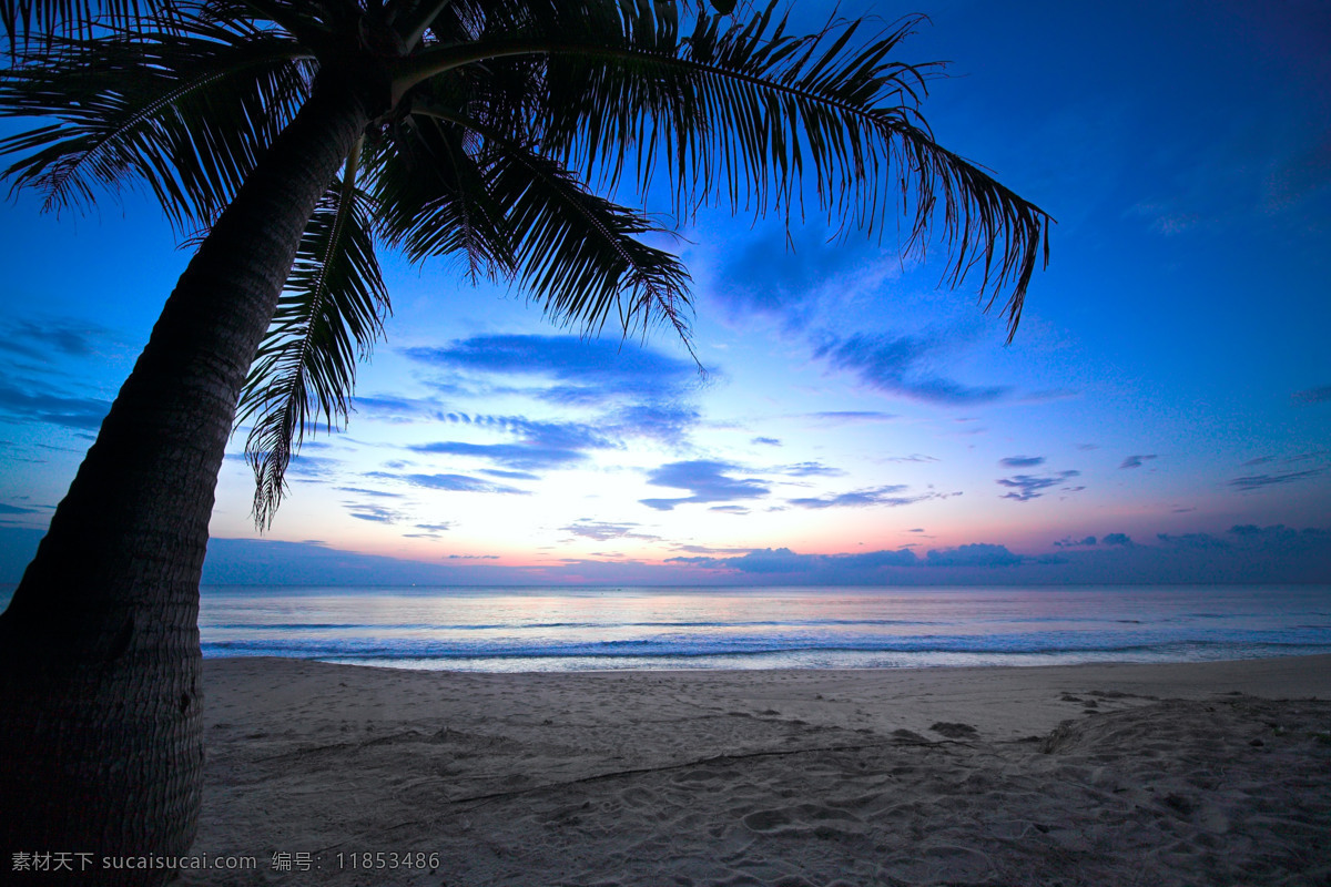 沙滩 上 椰子树 海边 蓝色 黄昏 风景图片 天空云彩 自然景观 黑色