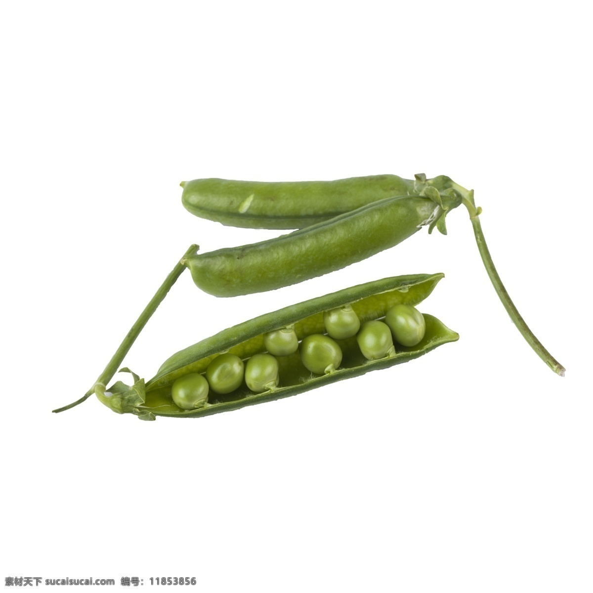 豌豆 免 抠 绿色蔬菜 豆类蔬菜 豌豆免抠 有营养的蔬菜 有营养的豌豆 蔬菜 需要剥的蔬菜