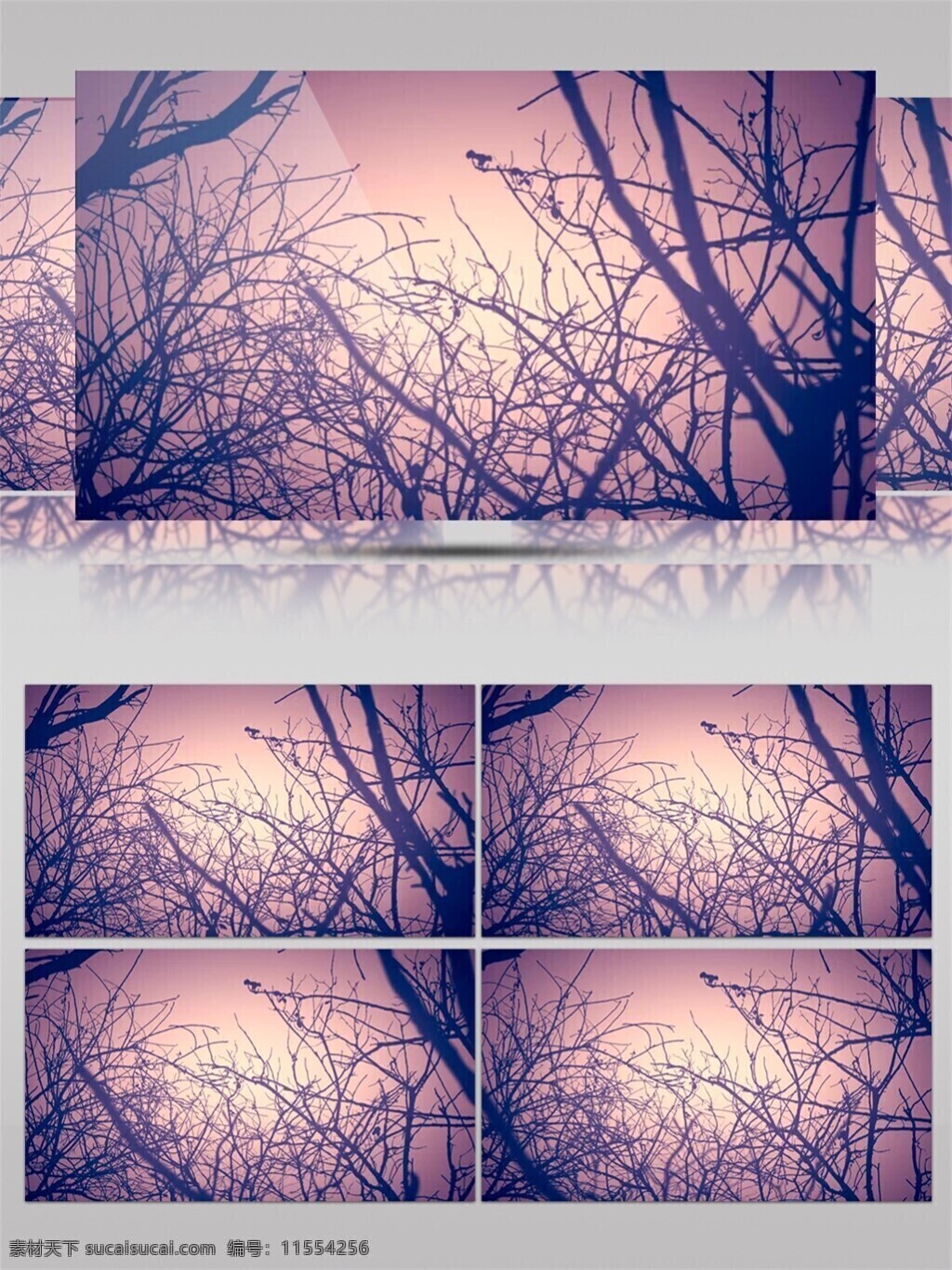 红色 夕阳 树枝 视频 光束 视觉享受 手机壁纸 光斑散射
