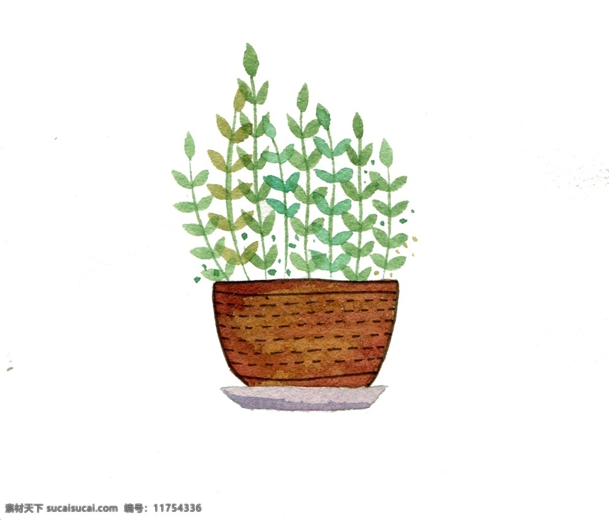 花盆 植物 春季 春天 春日 自然 绿化 小草 漂亮的花盆 美丽的植物
