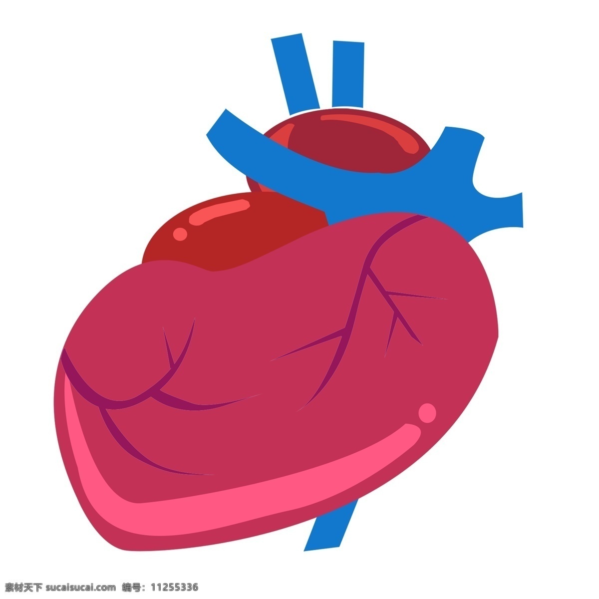 红色 跳动 心脏 插画 红色的心脏 跳动的心脏 波动的心脏 输血的心脏 供血的心脏 卡通插画 脏器插画