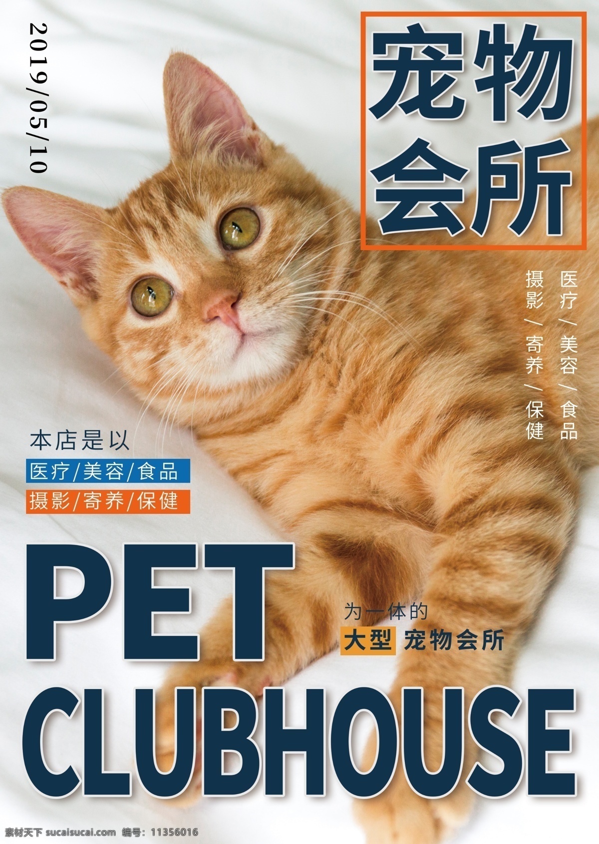 时尚 猫咪 宠物 单 页 猫咪杂志 宠物杂志 宠物单页 宠物店单页 宠物海报 萌宠海报
