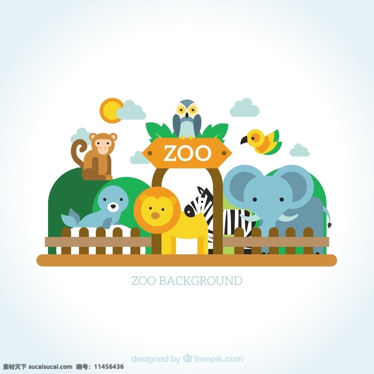 动物园 里 野生动物 鸟类 自然 动物 狮子 猫头鹰 猴子 可爱 大象 海豹 丛林 平面设计 斑马 围栏 爱鸟 鹦鹉 白色