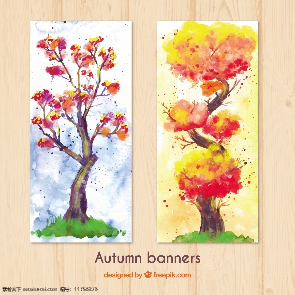 水彩画 秋 树 横幅 自然 树叶 秋天 季节 十一月 九月 十月